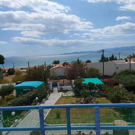 Dimitris * Kariani